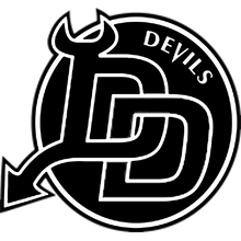 Load image into Gallery viewer, Personalized Sweedish Stick Handling Ball