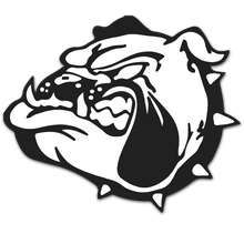 Load image into Gallery viewer, Personalized Sweedish Stick Handling Ball