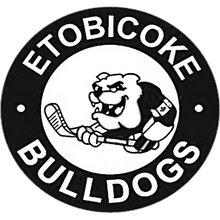 Load image into Gallery viewer, Personalized Sweedish Stick Handling Ball