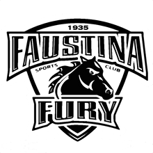 Load image into Gallery viewer, Personalized Sweedish Stick Handling Ball