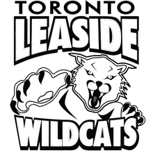 Load image into Gallery viewer, Personalized Sweedish Stick Handling Ball