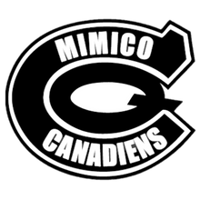 Load image into Gallery viewer, Personalized Sweedish Stick Handling Ball