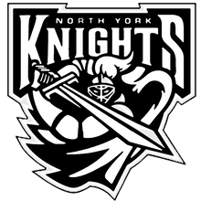 Load image into Gallery viewer, Personalized Sweedish Stick Handling Ball