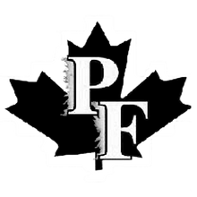 Load image into Gallery viewer, Personalized Sweedish Stick Handling Ball