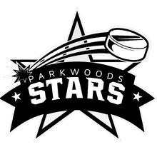 Load image into Gallery viewer, Personalized Sweedish Stick Handling Ball