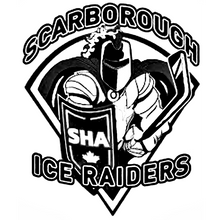 Load image into Gallery viewer, Personalized Sweedish Stick Handling Ball