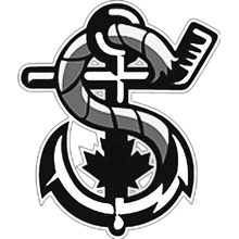 Load image into Gallery viewer, Personalized Sweedish Stick Handling Ball