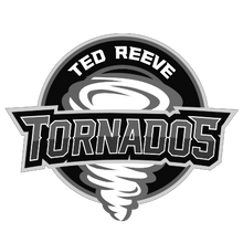 Load image into Gallery viewer, Personalized Sweedish Stick Handling Ball