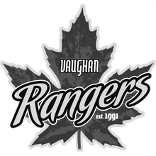 Load image into Gallery viewer, Personalized Sweedish Stick Handling Ball