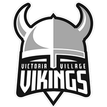 Load image into Gallery viewer, Personalized Sweedish Stick Handling Ball