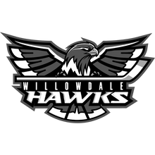 Load image into Gallery viewer, Personalized Sweedish Stick Handling Ball