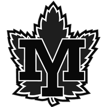 Load image into Gallery viewer, Personalized Sweedish Stick Handling Ball