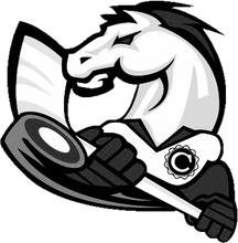 Load image into Gallery viewer, Personalized Sweedish Stick Handling Ball