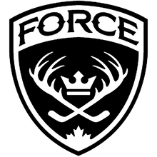 Load image into Gallery viewer, Personalized Sweedish Stick Handling Ball